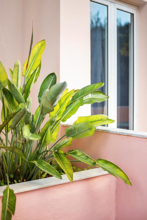 Aphrodite Studios & Apartment Bali  Exterior photo